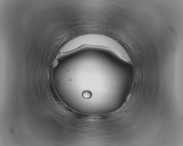 X0000111670128200907311206