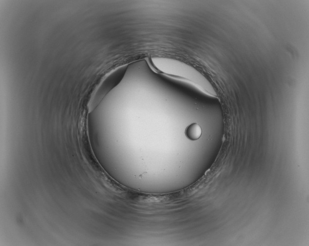 X0000111670129200907311206