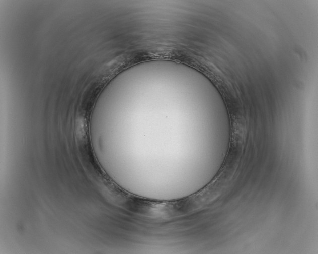 X0000111670130200907311206