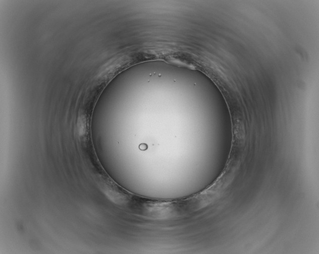 X0000111670132200907311206