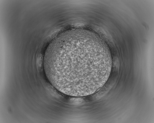 X0000111670133200907311206