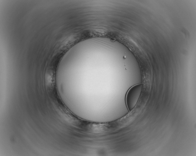 X0000111670134200907311206