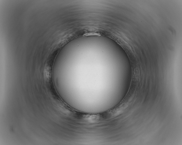 X0000111670135200907311206