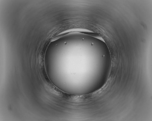 X0000111670136200907311206