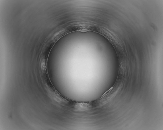 X0000111670137200907311206