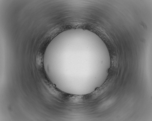 X0000111670138200907311206