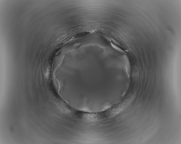 X0000111670139200907311206