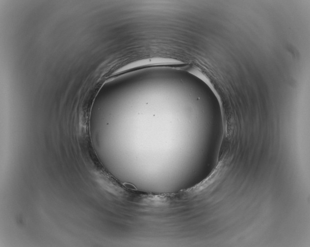 X0000111670140200907311206