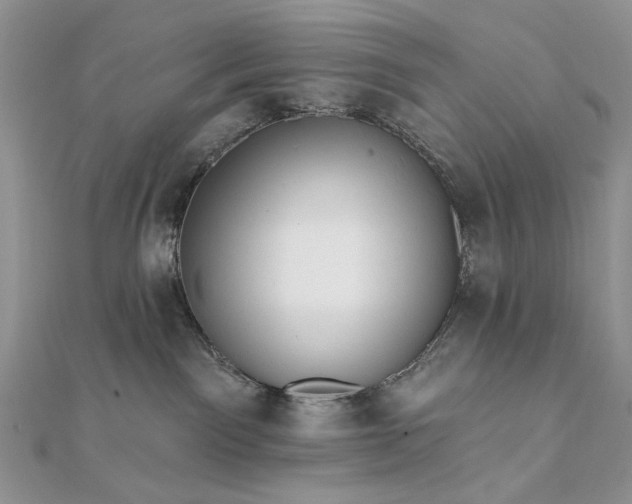 X0000111670141200907311206