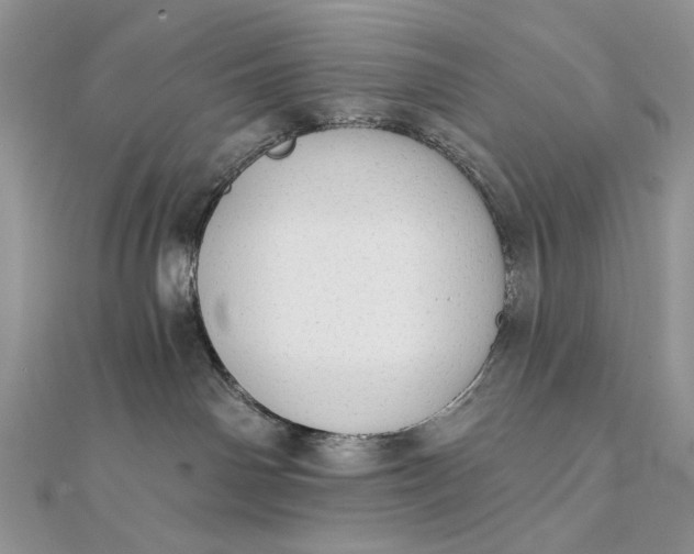 X0000111670142200907311206