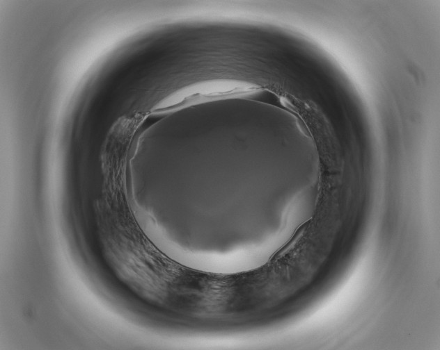 X0000111670143200907311206