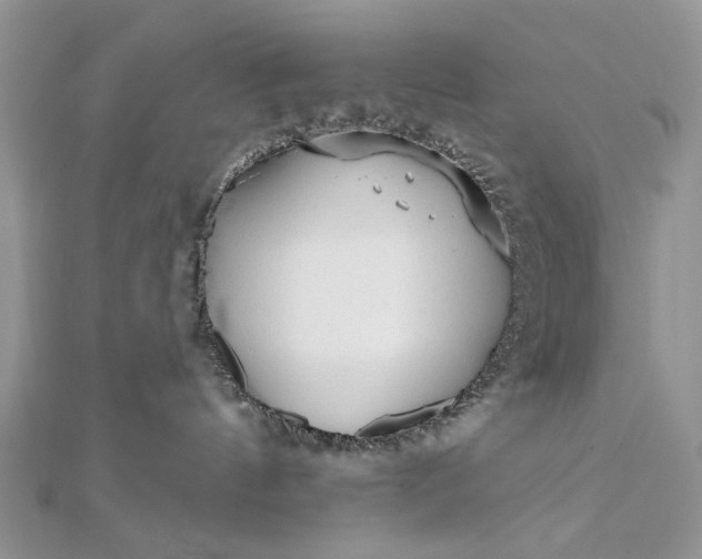 X0000111670144200907311206