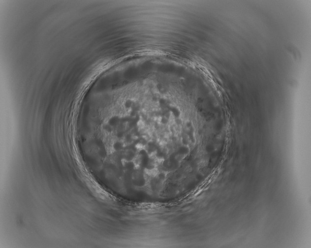 X0000111670145200907311205