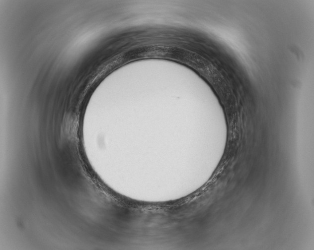 X0000111670146200907311205