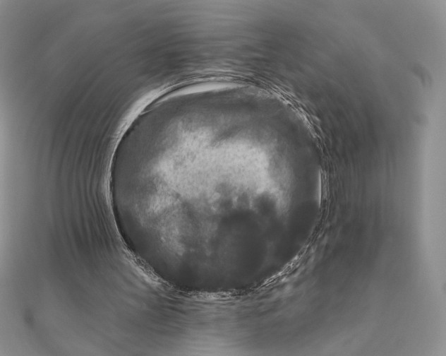 X0000111670147200907311205