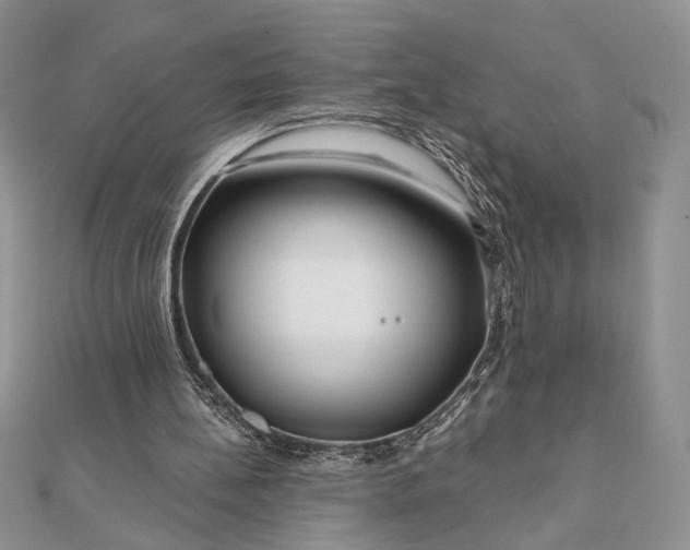 X0000111670148200907311205