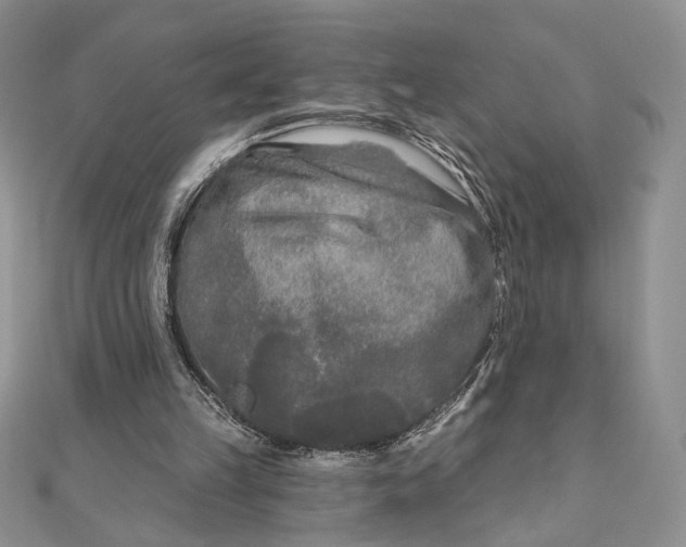 X0000111670149200907311205