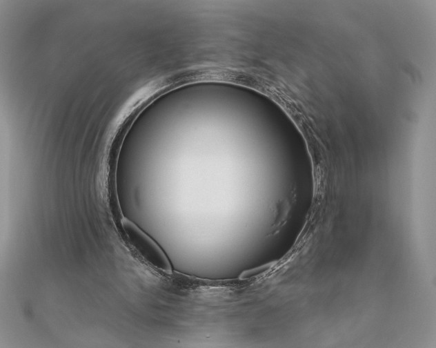 X0000111670150200907311205