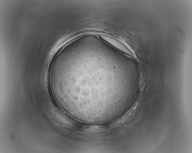 X0000111670151200907311205