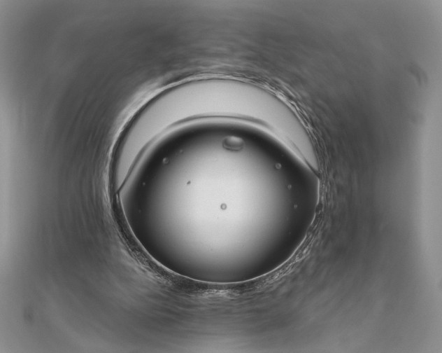 X0000111670152200907311205