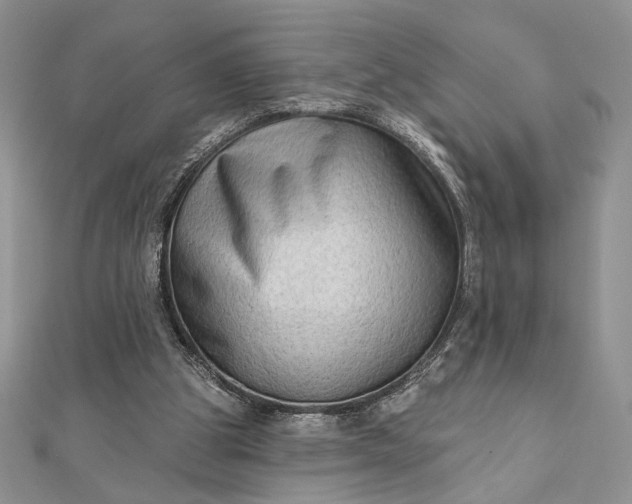 X0000111670153200907311205