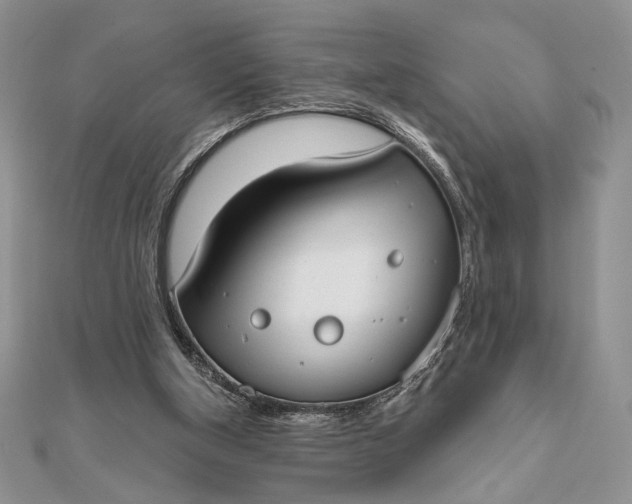 X0000111670154200907311206