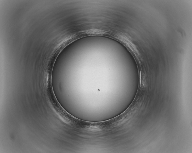 X0000111670157200907311206