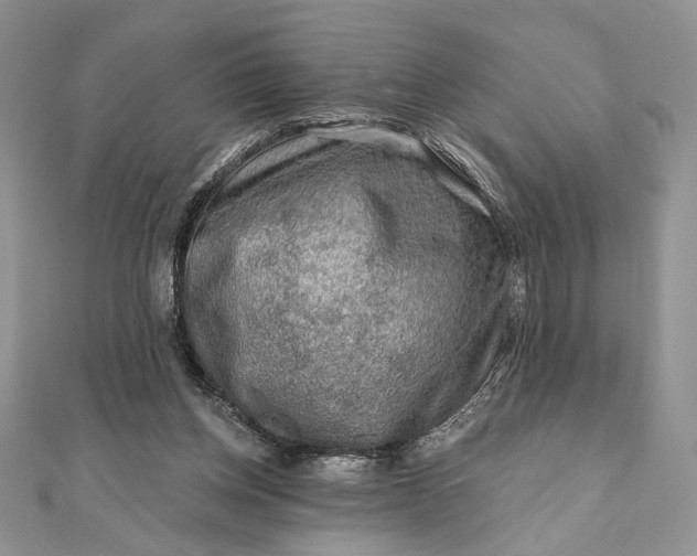 X0000111670158200907311206