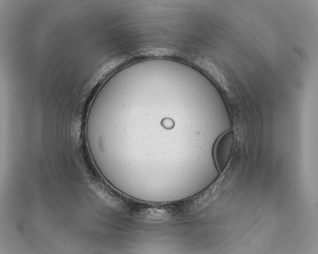 X0000111670159200907311206