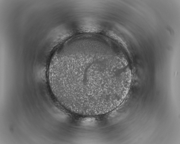 X0000111670162200907311206