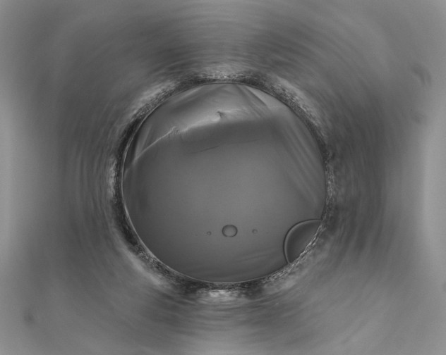 X0000111670163200907311206