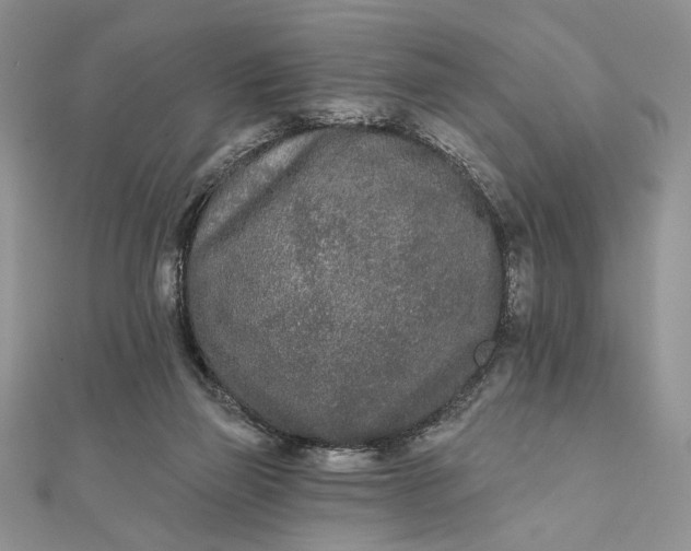 X0000111670165200907311206