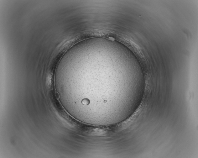 X0000111670166200907311206