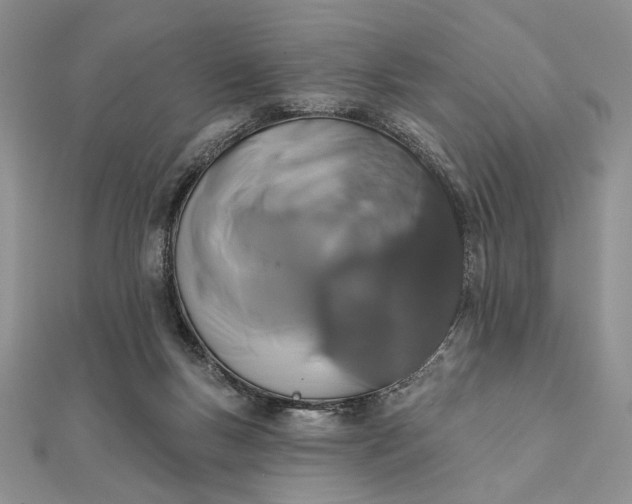 X0000111670167200907311206