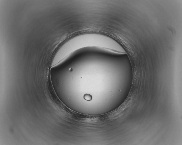 X0000111670168200907311206