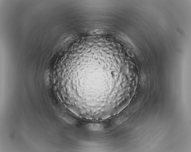 X0000111670169200907311206