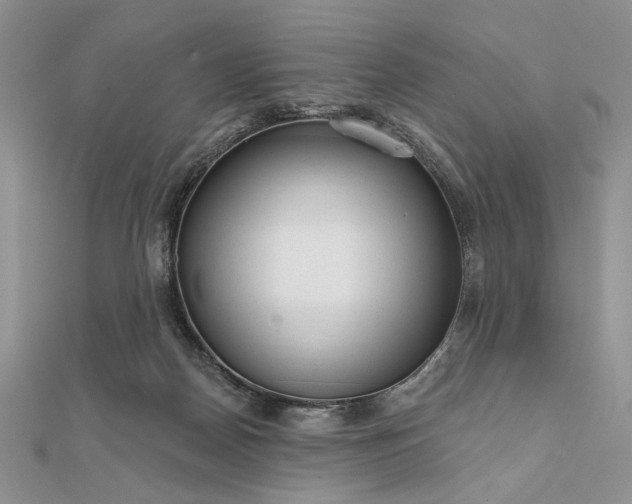 X0000111670170200907311206