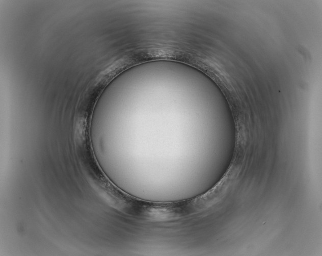 X0000111670171200907311206