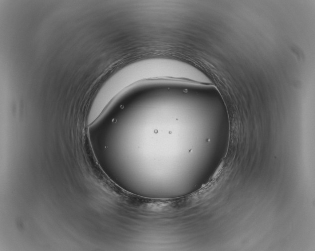 X0000111670172200907311206