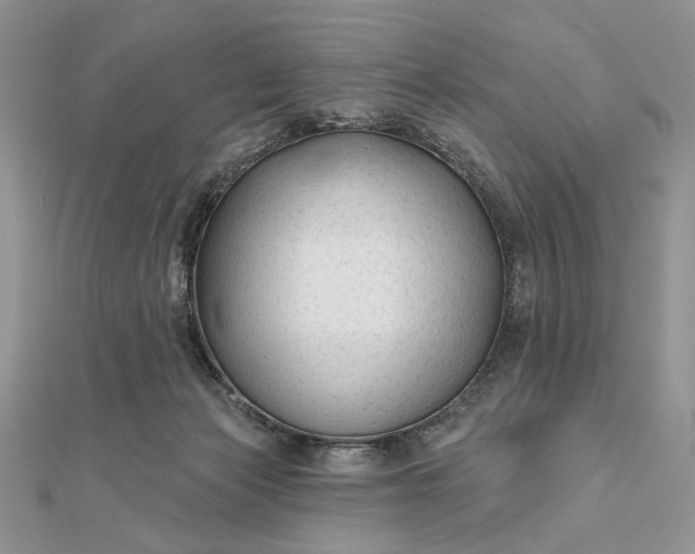 X0000111670173200907311206