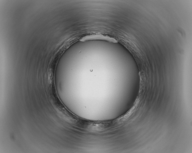 X0000111670174200907311206