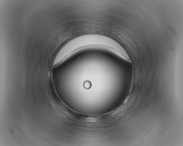 X0000111670176200907311206