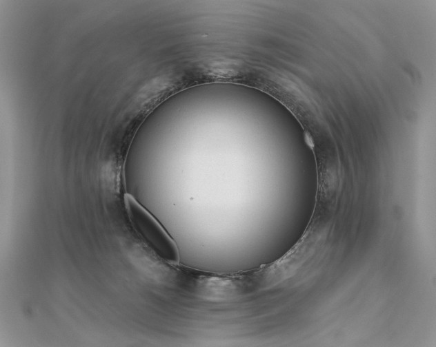 X0000111670180200907311206