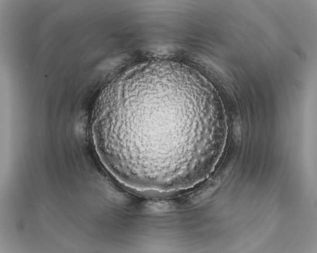 X0000111670181200907311206