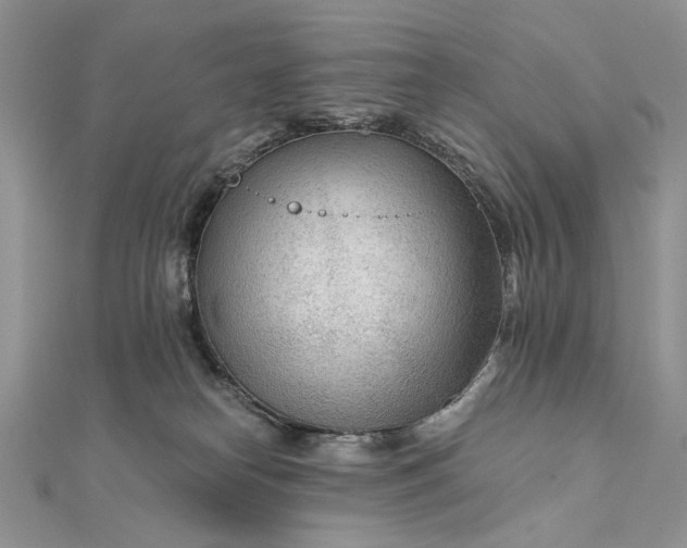 X0000111670182200907311206