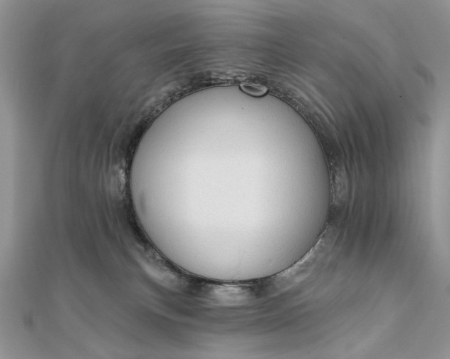 X0000111670183200907311206