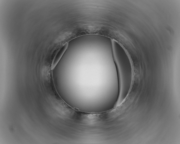 X0000111670184200907311206