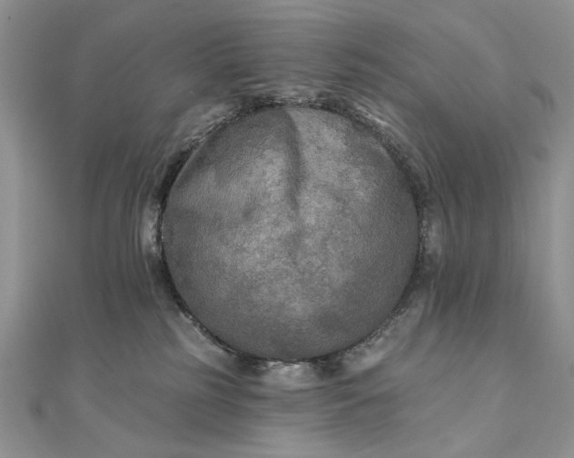 X0000111670185200907311206