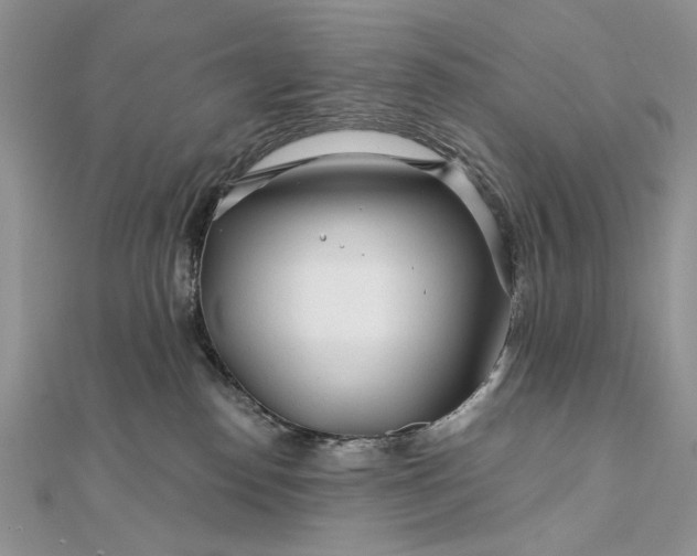 X0000111670186200907311206