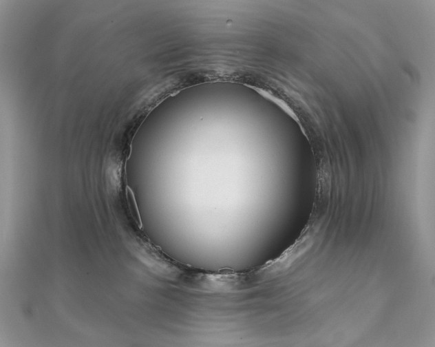 X0000111670188200907311206